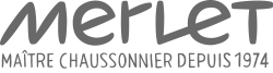 Merlet_logo Merlet_logo